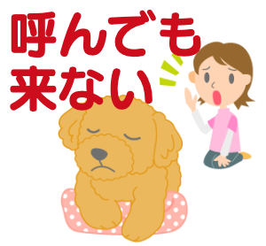 呼んでも来ない